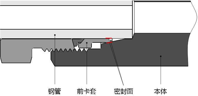 蓝狮在线 20D 系列双卡套接头密封示意图