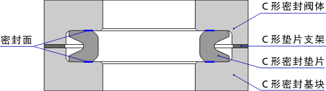 C 形密封
