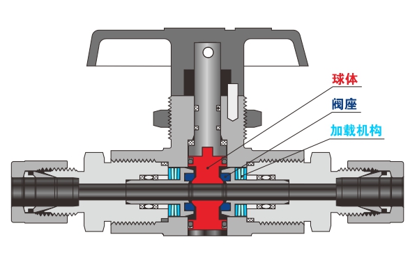 图2 蓝狮在线 BF 系列固定球阀剖面图